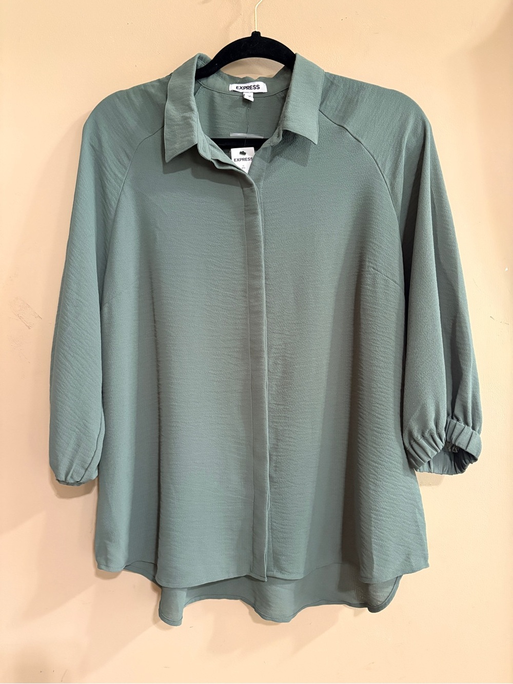 Express Sage Green Button-Front Collared Blouse Large NWT